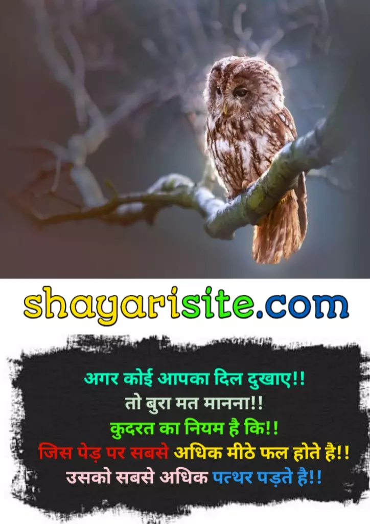 good reads quotes,
goodreads quotes about love,
good thoughts of life,
good thoughts in hindi,
good thoughts in english,
good thoughts about life,
good thoughts for students,
good thoughts of the day,
good thoughts about friendship,
quotes for good thoughts,
good reads quotes,
love quotes goodreads,
life quotes goodreads,
best read quotes,
friendship quotes goodreads,
best quotes goodreads,
travel quotes goodreads,
read good books quotes,
birthday quotes goodreads,
good readers quotes,
inspirational quotes goodreads,
goodreads quotes on life,
romantic quotes goodreads,
goodreads quotes on love,
morning read quotes,
home quotes goodreads,
book quotes goodreads,
quotes on love goodreads,
best quotes books to read,
family quotes goodreads,
best friend quotes goodreads,
short quotes goodreads,
quotes on life goodreads,
good reads best quotes,
time quotes goodreads,
happy birthday quotes goodreads,
i love you quotes goodreads,
quotes about love goodreads,
success quotes goodreads,
journey quotes goodreads,
quotes to read in the morning,
poetry quotes goodreads,
birthday goodreads,
true love quotes goodreads,
day quotes goodreads,
quotes on friendship goodreads,
life goodreads quotes,
popular quotes goodreads,
a good read quotes,
changes quotes goodreads,
goodreads my quotes,
work quotes goodreads,
goodreads quotes from books,
quotes about friendship goodreads,
quotes about family goodreads,
love quotes for him goodreads,
love quotes for her goodreads,
good reads inspirational quotes,
quotes goodread,
goodreads happiness quotes,