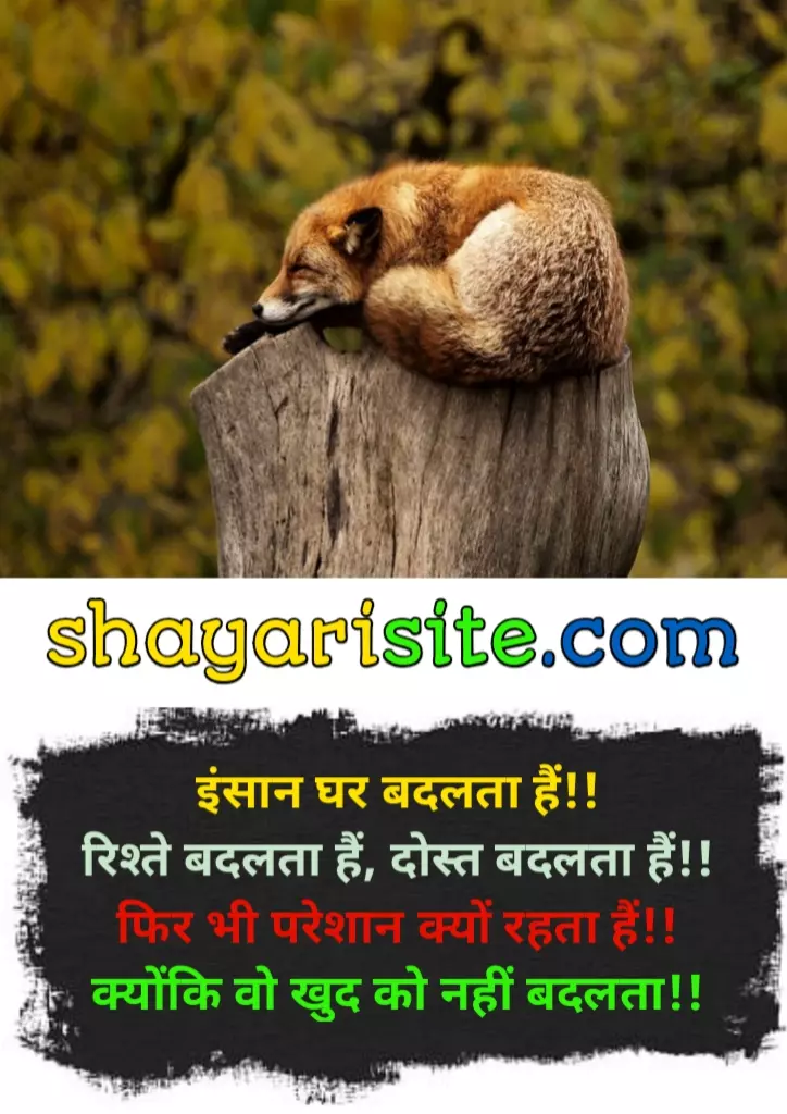 good reads quotes,
goodreads quotes about love,
good thoughts of life,
good thoughts in hindi,
good thoughts in english,
good thoughts about life,
good thoughts for students,
good thoughts of the day,
good thoughts about friendship,
quotes for good thoughts,
good reads quotes,
love quotes goodreads,
life quotes goodreads,
best read quotes,
friendship quotes goodreads,
best quotes goodreads,
travel quotes goodreads,
read good books quotes,
birthday quotes goodreads,
good readers quotes,
inspirational quotes goodreads,
goodreads quotes on life,
romantic quotes goodreads,
goodreads quotes on love,
morning read quotes,
home quotes goodreads,
book quotes goodreads,
quotes on love goodreads,
best quotes books to read,
family quotes goodreads,
best friend quotes goodreads,
short quotes goodreads,
quotes on life goodreads,
good reads best quotes,
time quotes goodreads,
happy birthday quotes goodreads,
i love you quotes goodreads,
quotes about love goodreads,
success quotes goodreads,
journey quotes goodreads,
quotes to read in the morning,
poetry quotes goodreads,
birthday goodreads,
true love quotes goodreads,
day quotes goodreads,
quotes on friendship goodreads,
life goodreads quotes,
popular quotes goodreads,
a good read quotes,
changes quotes goodreads,
goodreads my quotes,
work quotes goodreads,
goodreads quotes from books,
quotes about friendship goodreads,
quotes about family goodreads,
love quotes for him goodreads,
love quotes for her goodreads,
good reads inspirational quotes,
quotes goodread,
goodreads happiness quotes,