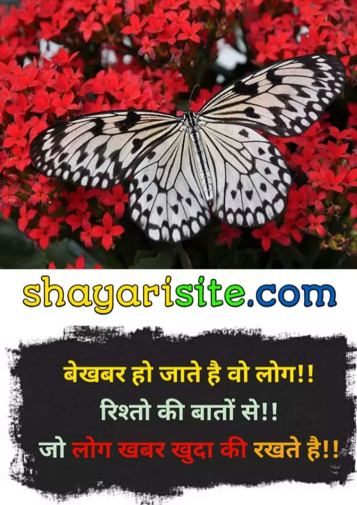 good reads quotes,
goodreads quotes about love,
good thoughts of life,
good thoughts in hindi,
good thoughts in english,
good thoughts about life,
good thoughts for students,
good thoughts of the day,
good thoughts about friendship,
quotes for good thoughts,
good reads quotes,
love quotes goodreads,
life quotes goodreads,
best read quotes,
friendship quotes goodreads,
best quotes goodreads,
travel quotes goodreads,
read good books quotes,
birthday quotes goodreads,
good readers quotes,
inspirational quotes goodreads,
goodreads quotes on life,
romantic quotes goodreads,
goodreads quotes on love,
morning read quotes,
home quotes goodreads,
book quotes goodreads,
quotes on love goodreads,
best quotes books to read,
family quotes goodreads,
best friend quotes goodreads,
short quotes goodreads,
quotes on life goodreads,
good reads best quotes,
time quotes goodreads,
happy birthday quotes goodreads,
i love you quotes goodreads,
quotes about love goodreads,
success quotes goodreads,
journey quotes goodreads,
quotes to read in the morning,
poetry quotes goodreads,
birthday goodreads,
true love quotes goodreads,
day quotes goodreads,
quotes on friendship goodreads,
life goodreads quotes,
popular quotes goodreads,
a good read quotes,
changes quotes goodreads,
goodreads my quotes,
work quotes goodreads,
goodreads quotes from books,
quotes about friendship goodreads,
quotes about family goodreads,
love quotes for him goodreads,
love quotes for her goodreads,
good reads inspirational quotes,
quotes goodread,
goodreads happiness quotes,